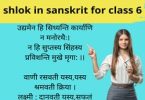 shlok in sanskrit for class 6