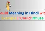 Could Meaning in Hindi with Example