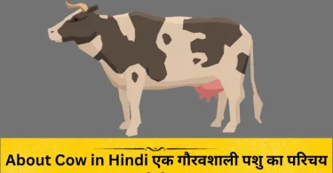 About Cow in Hindi